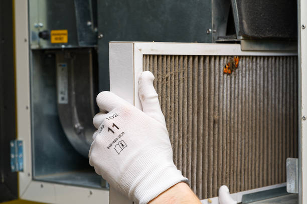 Best Air Duct Sanitizing Services  in Hagaman, NY